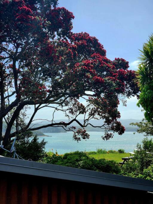 Orca Lodge Raglan Exterior photo